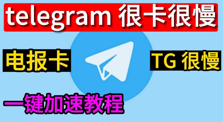 TG 很慢.jpg